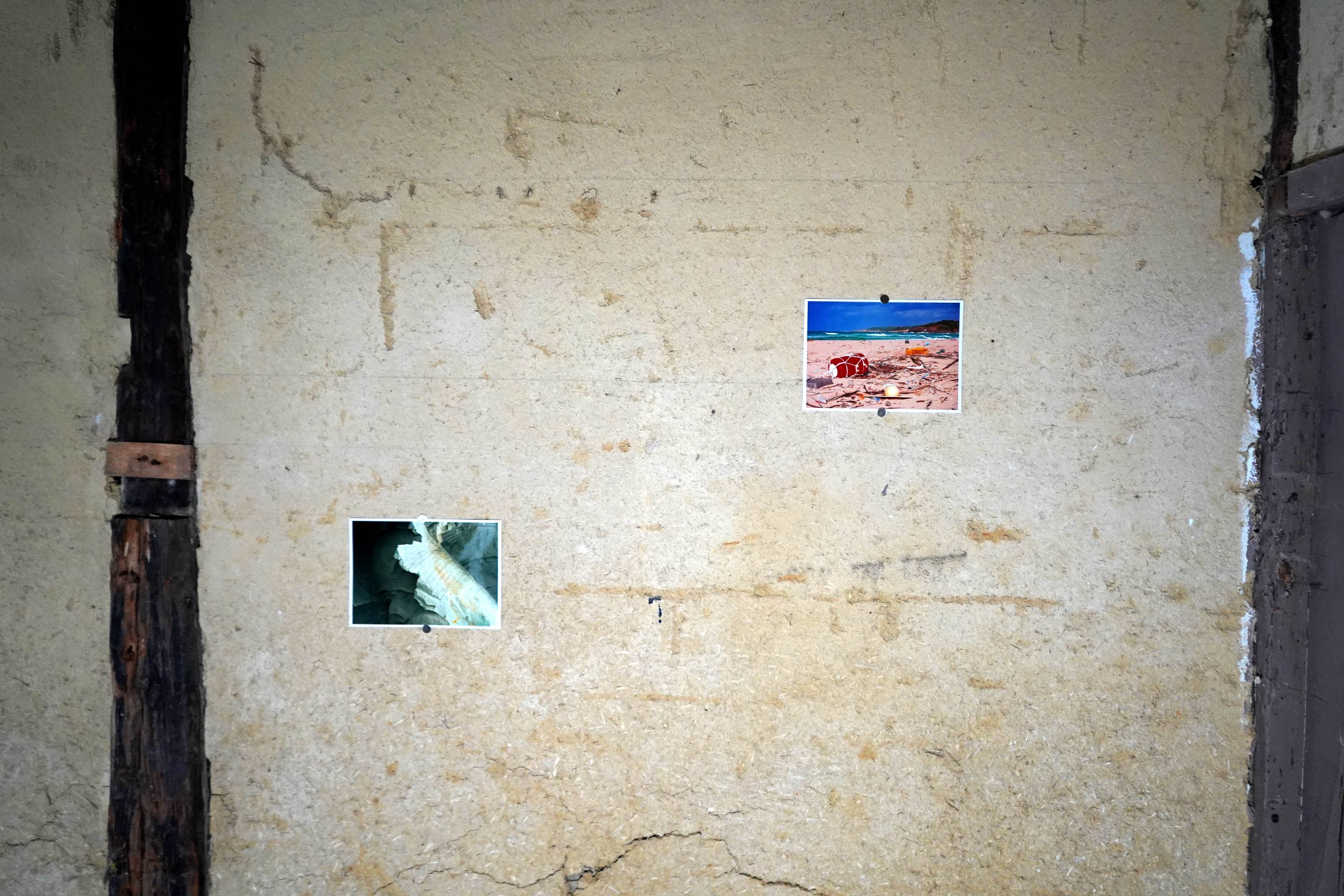 Immersive art piece using environmental data and protest archives